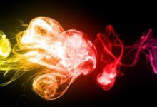 Juana Molina - Programa Completo